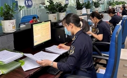 Tạm dừng tiếp nhận khai hải quan từ 22h ngày 30-6 đến 5h ngày 1-7