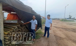 Thái Thụy: Quyết liệt xử lý vi phạm về đất đai