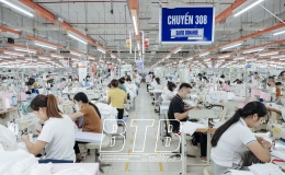 Thuế thu nhập cá nhân của người lao động tại các công ty