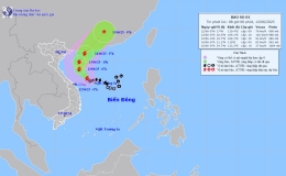 Tin bão trên biển Đông (Cơn bão số 1)