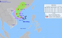 Tin bão trên biển Đông (Cơn bão số 1)