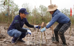 Toàn tỉnh đã trồng trên 1,3 triệu cây phân tán