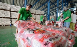 Ứng phó biến động thị trường lúa gạo