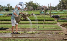 Việt Nam trong top 5 điểm khách châu Âu thích nhất hè