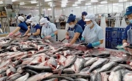 Xuất khẩu thủy sản tăng 14% so với cùng kỳ