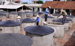 Chủ động nguồn nguyên liệu cho sản xuất