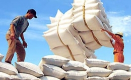 Việt Nam xuất khẩu gạo vào Mexico