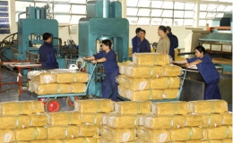 Xuất nhập khẩu sang Ấn Độ đạt gần 2,6 tỷ USD