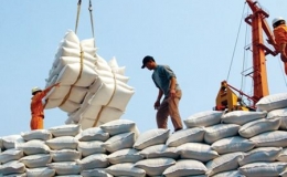 Xuất khẩu gạo đạt gần 4,2 triệu tấn