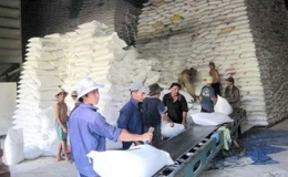 Việt Nam tăng giá gạo xuất khẩu