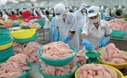 Bảy tháng xuất khẩu nông, lâm, thủy sản giảm 1,6%