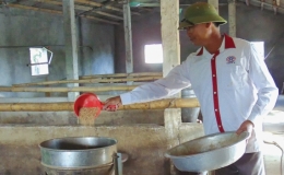 Thụy Thanh - Hiệu quả hoạt động tín dụng chính sách