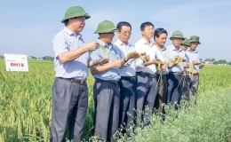 Người thương binh nặng tình với nông dân