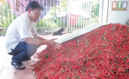 Ông Sơn tích tụ ruộng đất