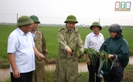 Đồng chí Nguyễn Hồng Diên, Ủy viên Trung ương Đảng, Bí thư Tỉnh ủy, Chủ tịch UBND tỉnh kiểm tra, chỉ đạo sản xuất nông nghiệp