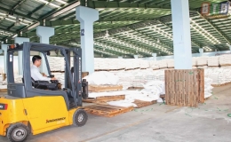 Xuất nhập khẩu trên đà tăng trưởng
