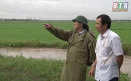 Quỳnh Phụ tập trung phòng chống úng bảo vệ sản xuất