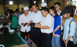 Sinh viên Trường Đại học Thái Bình tham quan thực tế tại doanh nghiệp