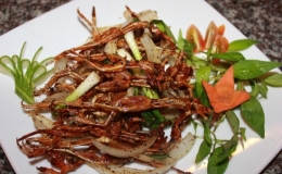 “Vũ nữ chân dài”: Đặc sản trứ danh ở miền Tây
