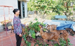 Đồng hành cùng người nghèo
