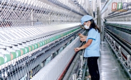 Bức tranh xuất khẩu hàng hóa