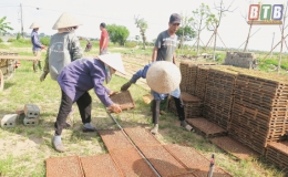 Kiến Xương: Đẩy nhanh tiến độ sản xuất vụ mùa