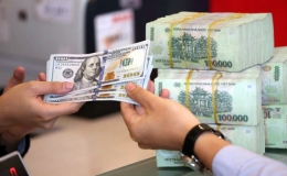 Giá USD giảm nhẹ tại một số Ngân hàng Thương mại