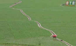 Tiếng gọi Tây Bắc (Kỳ 1)