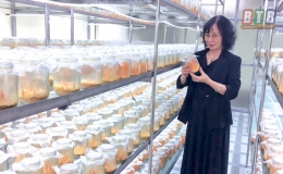 Nghề tay trái cho thu nhập tiền tỷ
