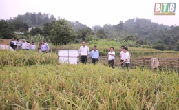 Tiếng gọi Tây Bắc (Kỳ 2)