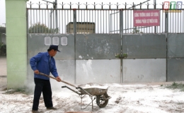 Bệnh dịch tả lợn châu Phi ở Kiến Xương có dấu hiệu chững lại