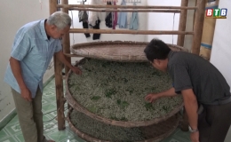 Nuôi tằm trong phòng lạnh, dân Hồng Lý hốt bạc