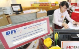 Có 1.282 tổ chức tham gia bảo hiểm tiền gửi ở Việt Nam