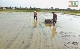 Chuyển đổi phương pháp gieo cấy