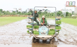 HTX nông nghiệp xã Vũ Hội: Nhạy bén đưa máy cấy xuống đồng