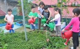 Sáp nhập trường học: Từ chủ trương đến hành động (Kỳ 1)