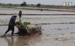 Đông Hưng đưa cơ giới hóa vào đồng ruộng