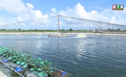 Thái Thụy tăng cường bảo vệ động vật thủy hải sản