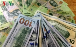 Tỷ giá ngoại tệ ngày 29/7: Giá USD trong nước tăng nhẹ