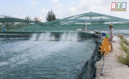 Thái Thượng: Bảo đảm an toàn nuôi trồng thủy sản mùa mưa bão