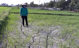 Hạn hán, xâm nhập mặn sẽ còn “khốc liệt”