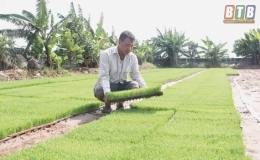 Biến ruộng hoang thành vùng sản xuất quy mô lớn