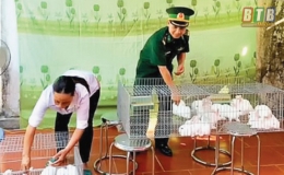 Bộ đội Biên phòng tỉnh: Nhiều mô hình giúp dân phát triển kinh tế