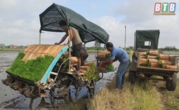 Cơ bản hoàn thành gieo cấy lúa mùa