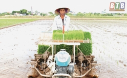 Đẩy nhanh tiến độ gieo cấy lúa mùa