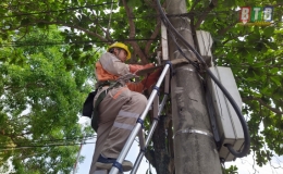Điện lực thành phố: Tháo gỡ hòm công tơ điện của các khách hàng vi phạm