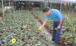 Đông Hưng: Phát triển nông nghiệp theo hướng hiện đại