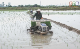 Gỡ khó cho cấy máy
