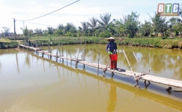 Làm giàu trên vùng đất hoang hóa