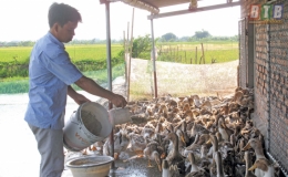 Liên kết để phát triển bền vững